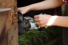 Strach z neznámého