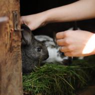 Strach z neznámého