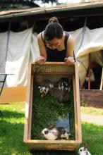 V koši nám zbyli 4 zápecníci