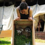 V koši nám zbyli 4 zápecníci