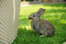 ...ale nakonec si dal