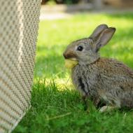 ...ale nakonec si dal