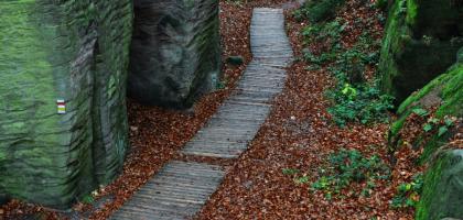 Podzimní kolekce 2010