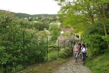 PoutBirmovancuDoKrtinKveten2013_002