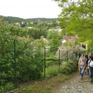 PoutBirmovancuDoKrtinKveten2013_002