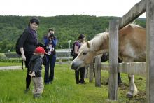 PoutBirmovancuDoKrtinKveten2013_008