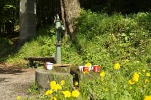 PoutBirmovancuDoKrtinKveten2013_028