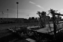 Zátiší u Zvonařky