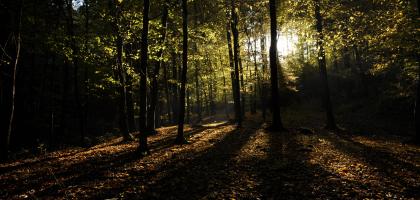 Říjnový víkend v Brně a okolí