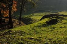 Zátiší v Komíně