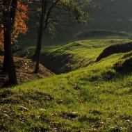 Zátiší v Komíně