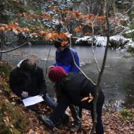 A opět periodická tabulka