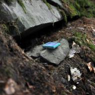 Tuhle malou mrchu našel Tom při posledním zoufalém pokusu, po tom, co již ostatní hledání vzdali