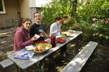 Snídaně na dvorku, servírovaná oknem