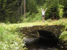 OLYMPUS DIGITAL CAMERA