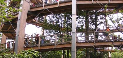 Šumava - Svatební cesta 2010