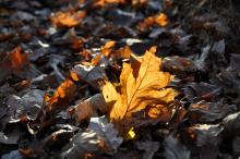 TantraPodzim2010_008