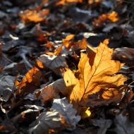 TantraPodzim2010_008