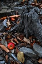 TantraPodzim2010_009