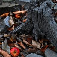 TantraPodzim2010_009