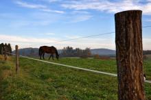 TantraPodzim2010_015