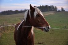 TantraPodzim2010_016