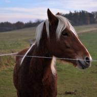 TantraPodzim2010_016