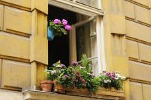 Botanická zahrádka