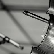 PrimiceVojtyLouba_VystoupeniCPQ_Cerven2013_031