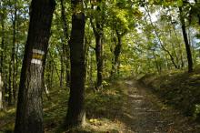 Pěšinka na vrchu Šance