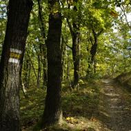 Pěšinka na vrchu Šance