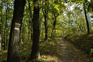 Pěšinka na vrchu Šance