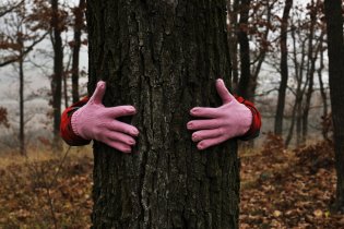 Objímání stromů