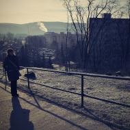 Ranní cesta na zastávku šaliny