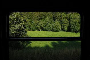 Přes okno vlaku je tráva vždycky zelenější