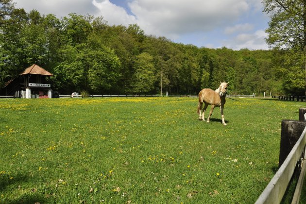 Žebětínský kýč