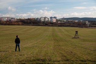 Tom obětavě vyvažuje kompozici
