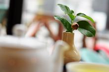 Po delší době v kavárně, už jsme pomalu začali vypadávat z role kavárenských povalečů