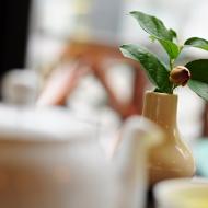 Po delší době v kavárně, už jsme pomalu začali vypadávat z role kavárenských povalečů