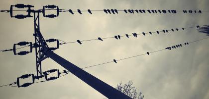 1. víkend v únoru 2013