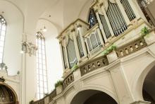 Královský nástroj od bratří Paštiků