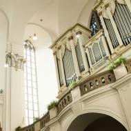 Královský nástroj od bratří Paštiků