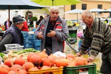 Rozprava nad dýněmi