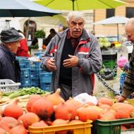 Rozprava nad dýněmi