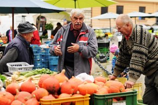 Rozprava nad dýněmi