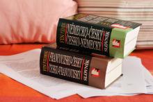 Sobotní dopoledne se slovníky