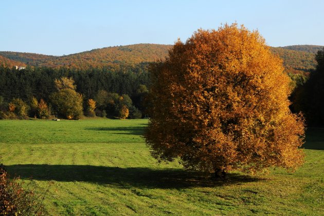 Do Bystrce dorazil podzim
