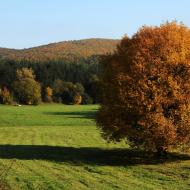 Do Bystrce dorazil podzim