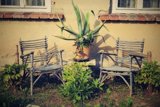 Zátiší s kaktusem ve Vranově