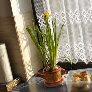 Pečivo z naší sluníčkové dopékárny